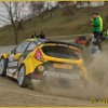 DSC_1533 Kopie